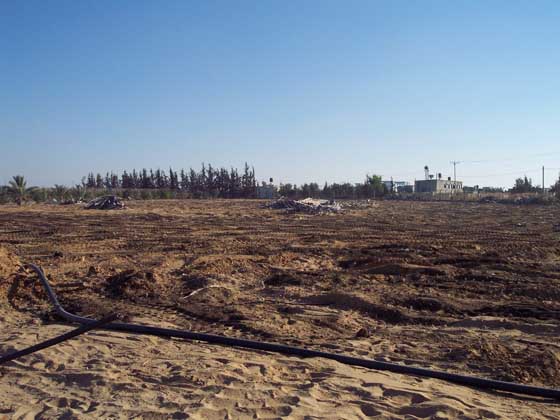 rafahcampo